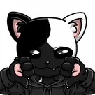Avatar de ix-xs : un chat noir et blanc en sweat à capuche